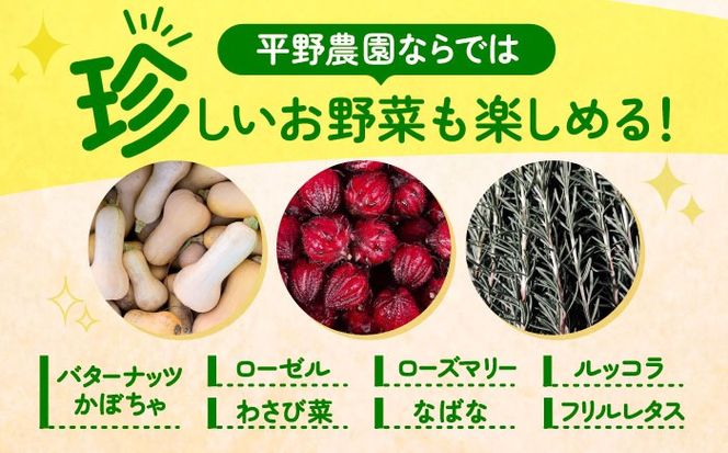 野菜 季節の旬の野菜おまかせBOX 農家直送 野菜 詰め合わせ 愛西市 / 平野農園[AEDO001]
