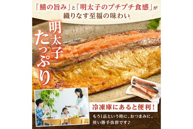 【A6-034】さば明太 6尾