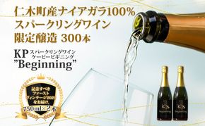 【北海道産ワイン】 限定スパークリングワイン KP”Beginning" 750ml×2本 仁木町産ナイアガラ100%使用 ワイン 白 辛口 スパークリング お酒 シャンパン 