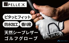 【KURODA】藤巻百貨店別注ゴルフグローブ（全天候型） ファッション小物 