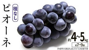 ピオーネ 約4～5kg 約7～9房【2026年8月より発送開始】（茨城県共通返礼品 [ぶどう]：結城市産）田舎の頑固おやじが厳選！ ぶどう ブドウ 葡萄 種なし 大粒 高糖度 ギフト 甘い 美味しい フルーツ [BI287-NT]