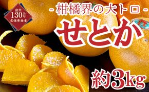 せとか 約3kg 柑橘界の大トロ フルーツ 果物 柑橘 柑橘類 オレンジ みかん 旬 季節のフルーツ 旬のフルーツ デザート おやつ 旬の果物 季節の果物 香川 香川県 丸亀 丸亀市 先行 予約 2月中旬以降発送開始