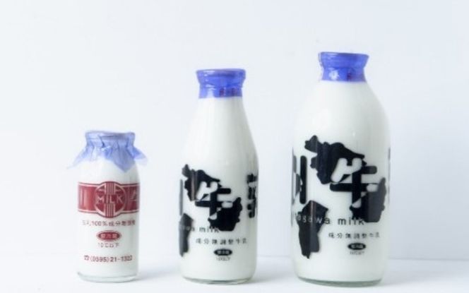 牛乳屋さんのジェラート カップ12個セット kggn0001