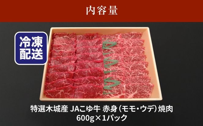 JAこゆ牛 特選木城産 赤身(もも・ウデ)600ｇ 焼肉用 K56_0007