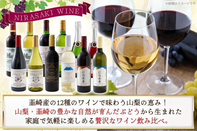 韮崎産 赤白スパークリング12本 お得な飲み比べセット 750ml ×11本 720ml ×1本 [株式会社まあめいく 山梨県 韮崎市 20745323] ワイン Wine わいん 赤ワイン 白ワイン 飲み比べ セット お酒 酒 山梨ワイン 甲州 スパークリング
