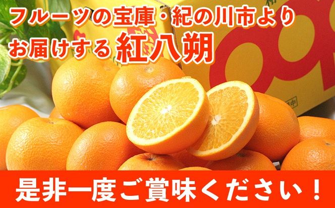 【先行予約】紅八朔(ポッポ) 10kg(3L-L) JAわかやま 紀の里地域本部 《2026年3月中旬-3月末頃出荷》 和歌山県 紀の川市 果物 フルーツ 柑橘 はっさく---wsk_jak18_3c3m_24_15000_10kg---