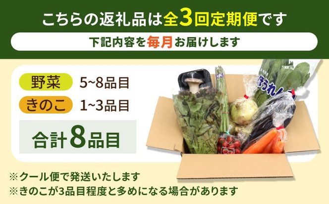 【3回定期便】お試し野菜セット 8品目 詰め合わせ / 野菜 やさい ヤサイ 旬 新鮮 / 南島原市 / 吉岡青果[SCZ028]