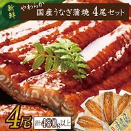 やわらか国内産うなぎ蒲焼満足サイズ！120～140g 4尾　計480g以上|うなぎ 鰻 蒲焼 満足 茨城県 行方市(AD-83-1)