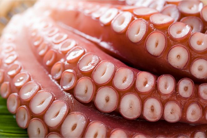 たこ 北海道 冷凍 煮たこ足 1kg～1.2kg 留萌産 タコ 蛸  国産 蛸足 たこ足 タコ足 たこあし ボイル 惣菜 おかず つまみ おつまみ ご飯のお供 海鮮 海産物 海の幸 魚介 魚介類 お刺身 刺身 刺し身 天ぷら 留萌 