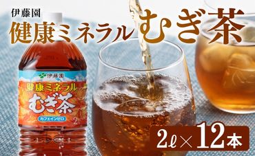 健康ミネラルむぎ茶 2L×6本×2ケース 飲料類 お茶 麦茶 [D07359]