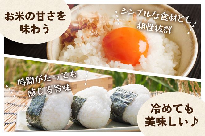 3ヵ月定期便 北海道 留萌管内産 ゆめぴりか5kg 米　精米　お米　米　ごはん　国産　甘い　ほどよい粘りと甘み　つややか　北海道産　産地直送　R004-007