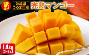 沖縄県 うるま市産 完熟 マンゴー 訳あり品 1.4kg【2026年発送】