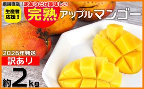 【2026年発送】生産者応援！！訳ありだが美味しい完熟アップルマンゴー約2kg 農園直送！ 訳アリ 先行予約 沖縄 甘味 糖度 濃厚 美味しい 自分用 おいしい ふるさと納税 とろける甘さ 香り アーウィン 果汁 送料無料 箱入り トロピカル フードロス わけあり ２キロ