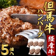【累計5,000個突破！】但馬牛経産牛ハンバーグ（150g×5個）010AA09N.／個包装 牛肉 黒毛和牛 100% 国産 経産牛 和牛 赤身 味付け ほくぶ バーベキュー bbq キャンプ アウトドア 焼肉 小分け 簡単調理 セット 詰め合わせ 詰合せ 冷凍 お弁当 おかず