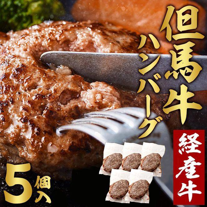 【累計5,000個突破！】但馬牛経産牛ハンバーグ（150g×5個）010AA09N.／個包装 牛肉 黒毛和牛 100% 国産 経産牛 和牛 赤身 味付け ほくぶ バーベキュー bbq キャンプ アウトドア 焼肉 小分け 簡単調理 セット 詰め合わせ 詰合せ 冷凍 お弁当 おかず