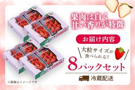 【先行受付 令和9年1月より発送】佐賀県産『さがほのか』8Pセット【いちご 苺 イチゴ 大粒 果物 フルーツ デザート ふるさと納税】(H108104)