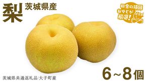 梨 6〜8個【2025年12月より発送開始】（茨城県共通返礼品 [梨]：大子町産）田舎の頑固おやじが厳選！ 梨 高糖度 ギフト 甘い デザート フルーツ 美味しい [BI299-NT]