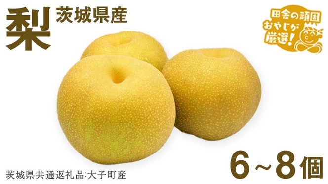 �y��錧���΂݂炢�s�z�� 6?8�y2026�N12����蔭���J�n�z�i��錧���ʕԗ�i [��]�F��q���Y�j�c�ɂ̊�ł��₶�����I�I �� �����x �M�t�g �Â� �f�U�[�g �t���[�c �������� [BI299-NT]