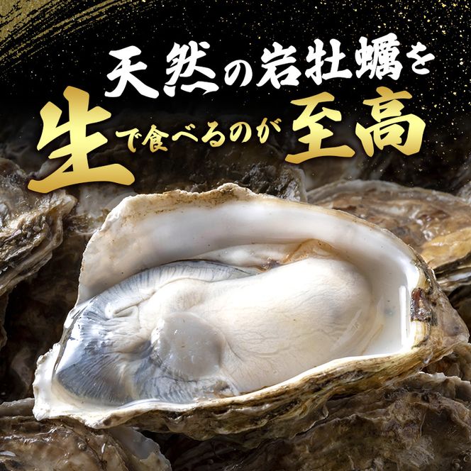 【先行予約 7月上旬～下旬発送予定】象潟産 天然岩牡蠣 5～6個 ナイフ付【牡蠣 夏牡蠣 かき 象潟 生食可 魚介類 海鮮 海産物 海の幸】　