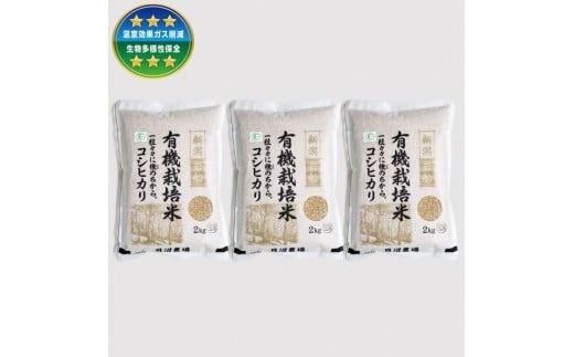 【令和7年産米】 有機栽培米コシヒカリ 玄米6kg（2kg×3）新潟県村上市岩船産 オーガニック　1067152