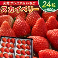 【2026年1月発送開始】【先行予約】【数量限定】大粒プレミアムいちご スカイベリー 24粒 (約800g) | 栃木県 ふるさと納税 高級いちご 贈答用 イチゴ 苺 果物 フルーツ スカイベリー 熟成 大粒いちご こだわり (DS002)