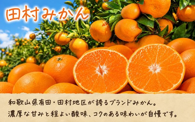 【全3回定期便】フルーツ大国和歌山よりお届け！旬のフルーツ定期便B【田村みかん・まりひめ・紀州デコ】 / フルーツ 果物 みかん いちご  旬 定期便  【tkb351】