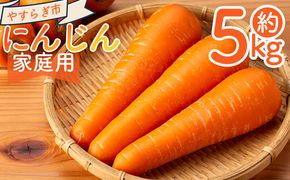 【2025年11月以降発送】にんじん ５ｋｇ 家庭用 yr-0083
