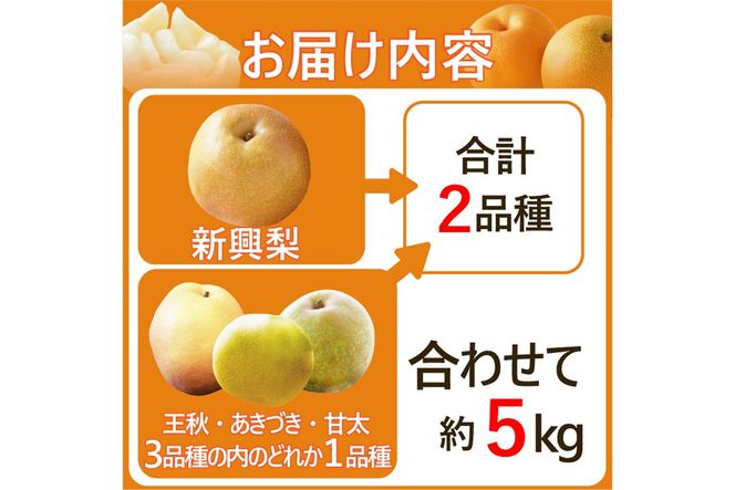 田園紳士厳選「梨好きさんのための梨セット」新興梨ともう1品種の計2品種セット 果物 フルーツ 梨 セット 詰め合わせ 新興梨 あきづき 甘太 王秋 ふるさと納税 梨 ふるさと納税 フルーツ セット　DE00173