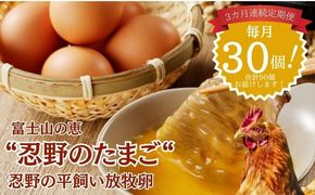 【定期便】忍野の平飼い放牧卵　3か月連続定期便（毎月30個×3か月　合計90個）　KC010