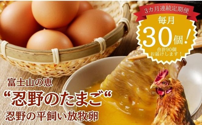 �y�R�����s���s�z�y����ցz�E��̕��������q���@3�����A������ցi����30��×3�����@���v90�j�@KC010