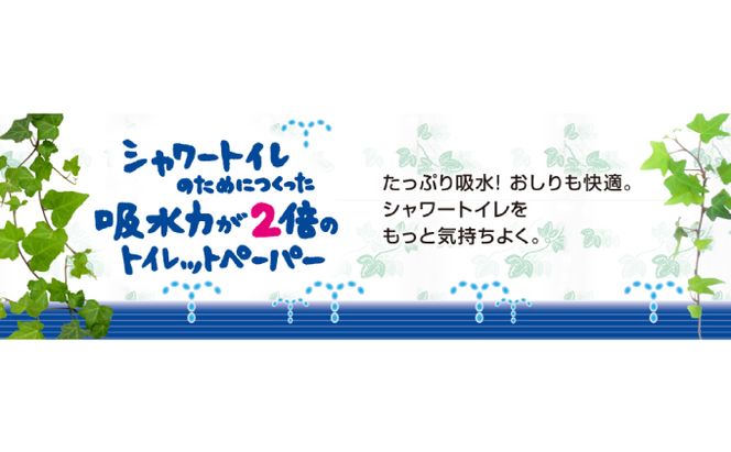 定期便 2ヵ月連続お届け エリエール ハーフサイズ 収納に便利 コンパクト 【少量3パック】 エリエール シャワートイレのためにつくった吸水力が2倍 トイレットペーパー ダブル 25m 12R 3パック 計36ロール