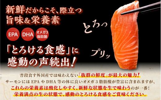 国産ワンフローズントラウトサーモン【1.6kg】
