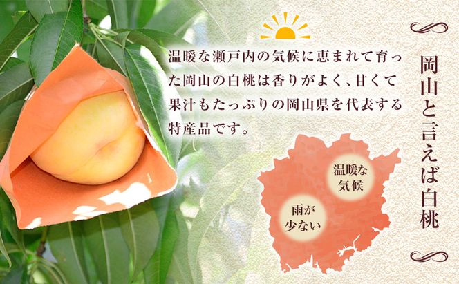 【 2026年 先行予約】 桃 岡山県産 白鳳 （ 白桃 ） 約2kg（6～8玉） 《2026年7月上旬-中旬頃出荷》 白桃 岡山 はくとう スイーツ フルーツ 果物 先行予約 数量限定 期間限定 岡山 里庄町 モモ もも 桃 