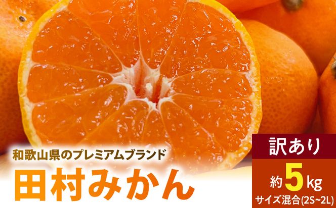 AB7301_ 【2026年先行予約】ご家庭用 田村みかん サイズ混合(2S～２L)  約5kg _  わけあり 訳あり 和歌山プレミアムブランドみかん 小玉 中玉 大玉 蜜柑 ミカン フルーツ 果物