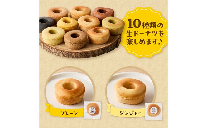 【B06009】グルテンフリーの米粉パン 米粉のドーナツ 10個セット