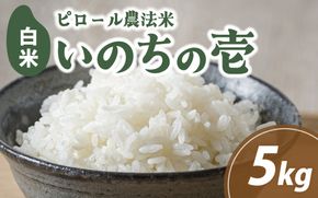 富山県滑川市産　弱アルカリ性米　「ピロール農法米　いのちの壱」精米5kg【2025年10月中旬より順次発送】 / 産地直送 袋 ブランド米 お米 米 ご飯 ごはん 富山 滑川市 アグリめぐみ 農家直送 おこめ