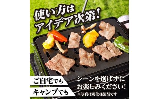 【純国産極厚鉄板】まどか鉄板2号 60