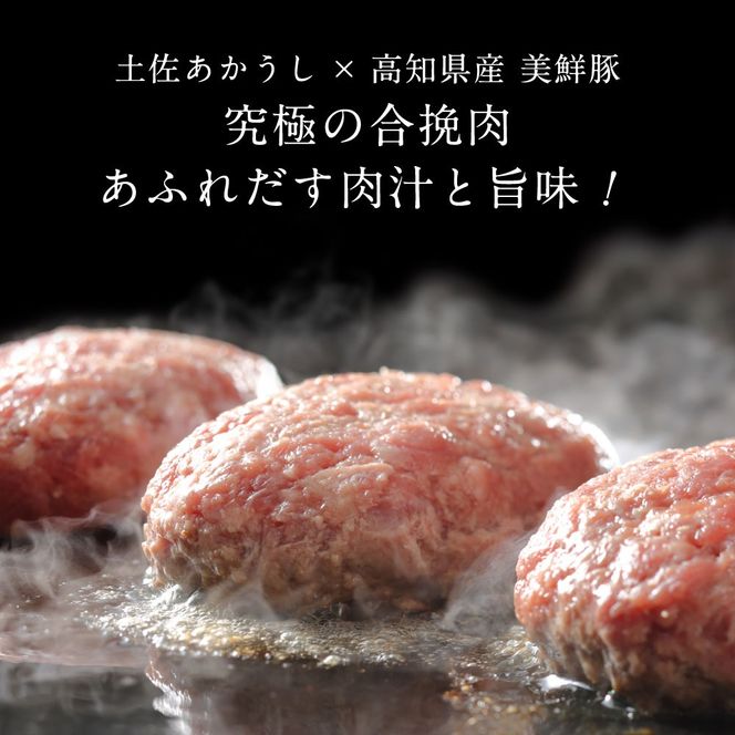 幻のあかうし和牛ハンバーグ 5個入り 3ヶ月定期便 1個130g 田野屋青蜂 白鯆 完全天日塩練り込み 肉 お肉 国産牛 土佐あかうし 四万十ポーク おかず 惣菜 おいしい お取り寄せ 冷凍 配送 高知県 田野町