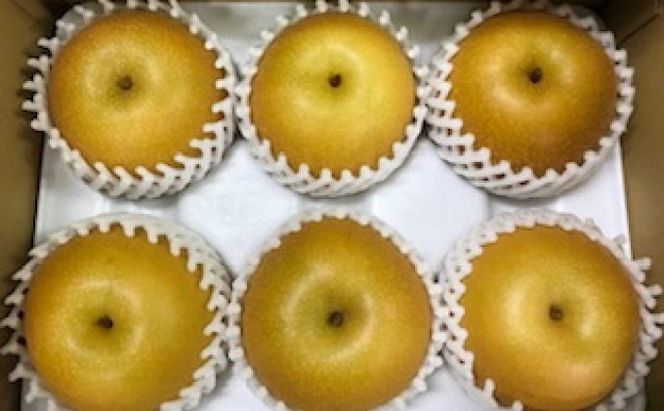 梨 豊水 まるで食べる梨ジュース！！ 甘熟 豊水梨 約2.5kg 4～7玉入 配送不可 離島 ナシ 果物 フルーツ 先行予約 