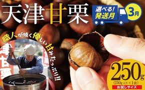 〈2026年3月発送〉【お試し】この道50年の職人が焼く、やさしい甘みたっぷりの「天津甘栗」250g！ 焼きたて 栗 くり 栗爪 殻付き お菓子 おつまみ 人気 高リピート 小分け 栗ご飯 栗きんとん 甘露煮 H045-078_Mar