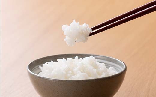 ≪定期便3回≫テーブルマーク 山形県産 つや姫 パックごはん 32食(4食入×8パック)×3回 合計96食 白米 米 ご飯 ごはん ライス つやひめ パック パックライス 簡単調理 レンジ レンチン 常温保存 保存食 非常食 備蓄 国産 食品 定期 頒布会 毎月届く 山形県 西川町 月山 FYN6-348