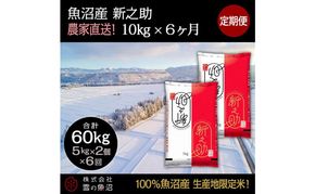 【令和7年産】定期便！魚沼産 新之助【合計60kg】10kg×6回 お米 米 こめ コメ 