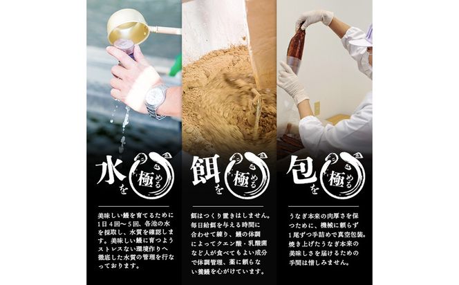 【ギフト対応】楠田の極うなぎ　蒲焼き170ｇ以上×3尾(計510ｇ以上） b2-018