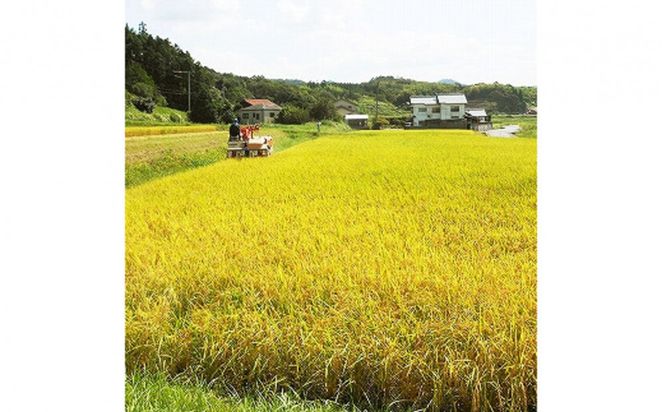 【ふるさと納税】お米　令和7年産　出雲きぬむすめ5kg×3袋 322032_EH010