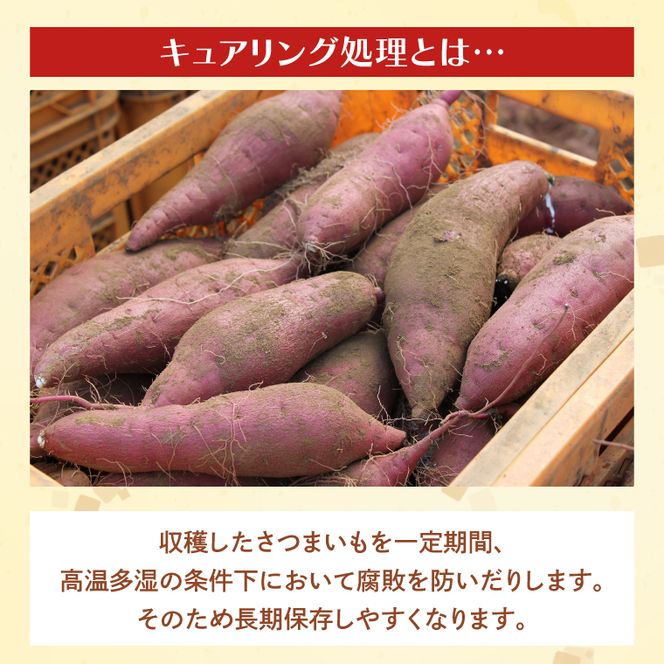 茨城県産 紅はるか 訳あり サイズミックス　約10kg｜訳あり わけあり 訳アリ さつまいも サツマイモ さつま芋 紅はるか べにはるか 芋 いも 茨城県産 行方市(FU-4)