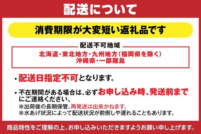 【兵庫県香住産 香住の朝獲れ地魚セット 期間限定 新鮮 鮮魚 4～5種類詰め合わせ（1.5kg～2kg程度） 冷蔵】旬の鮮魚 内蔵処理可 期間限定 ふるさと納税 お刺身 煮魚 焼魚 フライ 詰め合わせ セット 兵庫県 香美町 香住 宿院商店 33-11