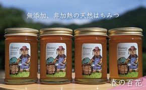合計920g 天然蜂蜜 国産蜂蜜 非加熱 生はちみつ 岐阜県 美濃市産 春 (蜂蜜230g入りガラス瓶4本)A4 深田養蜂のハチミツ