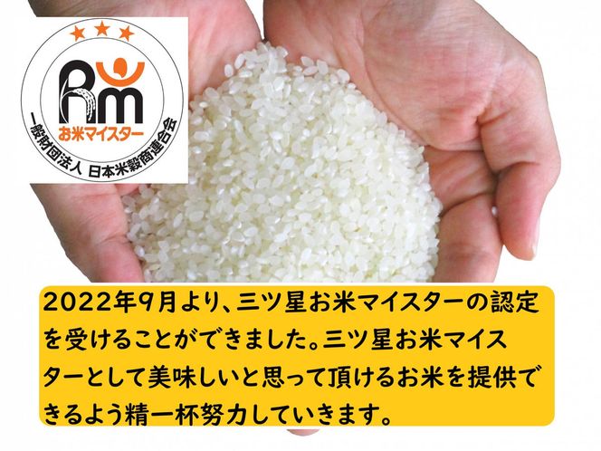令和7年産 茨城あきたこまち 20kg （5kg×4袋） | あきたこまち 白米 精米 ごはん お米 国産 茨城県産 守谷市 送料無料