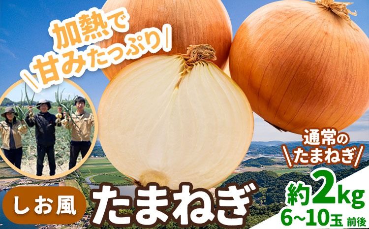 たまねぎ[先行予約]しお風たまねぎ 約2kg[6月上旬-6月末頃出荷] 玉ねぎ たまねぎ 野菜 青果物 岡山県 笠岡市 玉ねぎ 2kg---kasaoka_zsy_142_2---