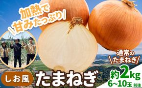 たまねぎ【2025年先行予約分】しお風たまねぎ 約2kg《2025年6月上旬-6月末頃出荷》 玉ねぎ たまねぎ 野菜 青果物 岡山県 笠岡市 玉ねぎ 2kg---223_1054_6j6m_24_3500_2kg---